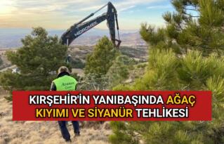 KIRŞEHİR’İN YANIBAŞINDA AĞAÇ KIYIMI VE SİYANÜR TEHLİKESİ