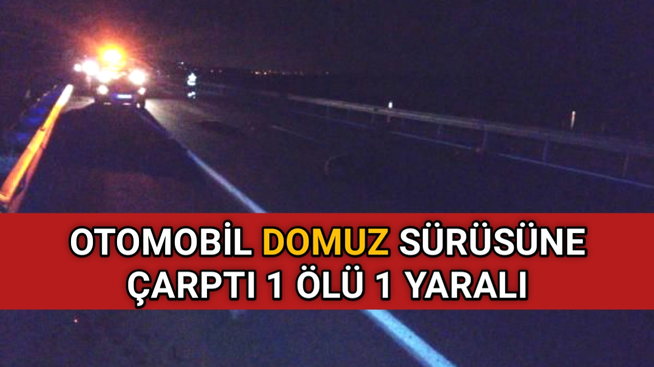 KIRŞEHİR’ DE DOMUZA DİKKAT ! 1 ÖLÜ 1 YARALI