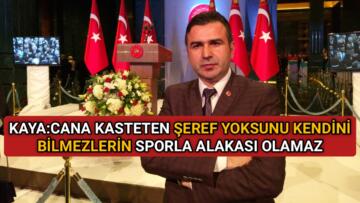 DÜNYA KIRŞEHİRLİLER DERNEK BAŞKANI KAYA’DAN KINAMA