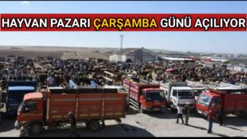 KIRŞEHİR HAYVAN PAZARI ÇARŞAMBA GÜNÜ AÇILIYOR