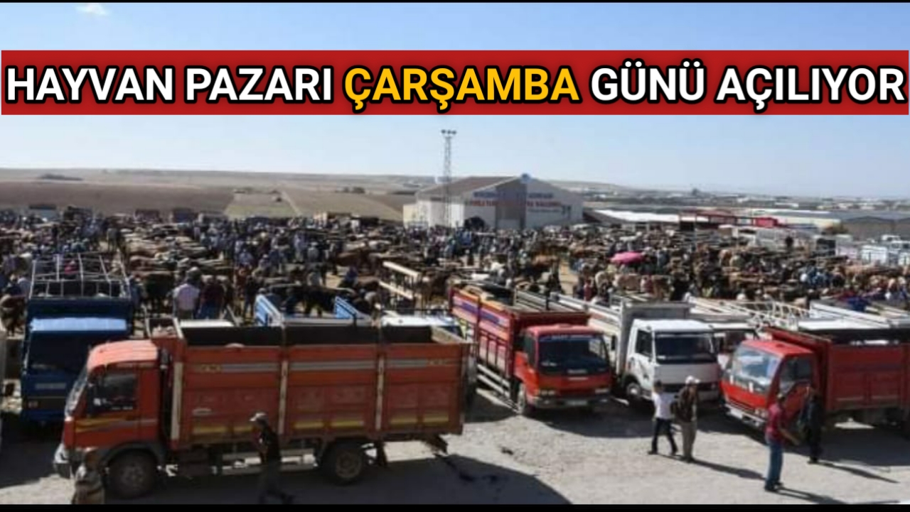 Kırşehir canlı hayvan pazarı önümüzdeki Çarşamba günü hizmete açılıyor. Konuyla