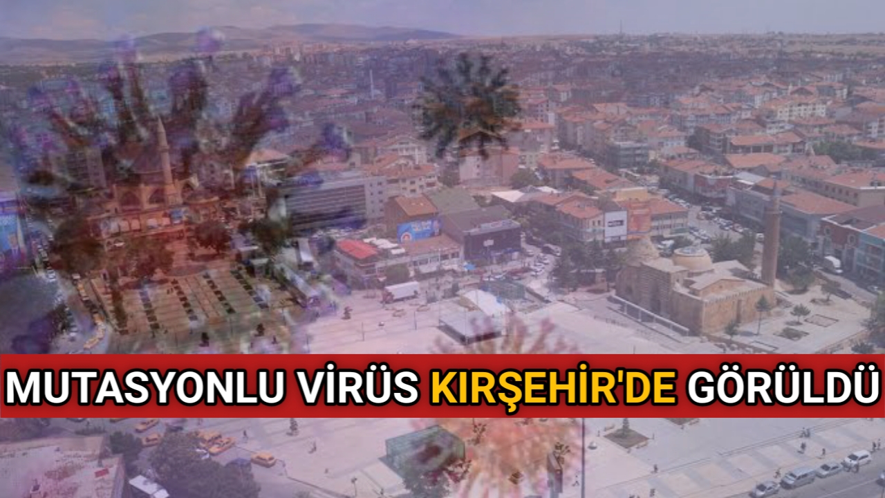 MUTASYONLU VİRÜS KIRŞEHİR’DE GÖRÜLDÜ