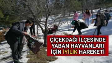 ÇİÇEKDAĞI İLÇESİNDE YABAN HAYVANLARI İÇİN İYİLİK HAREKETİ