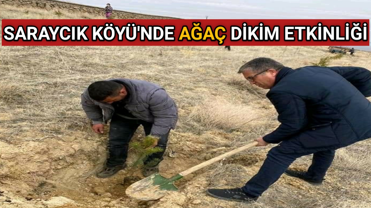 KIRŞEHİR’İN SARAYCIK KÖYÜ’NDE AĞAÇ DİKİM ETKİNLİĞİ