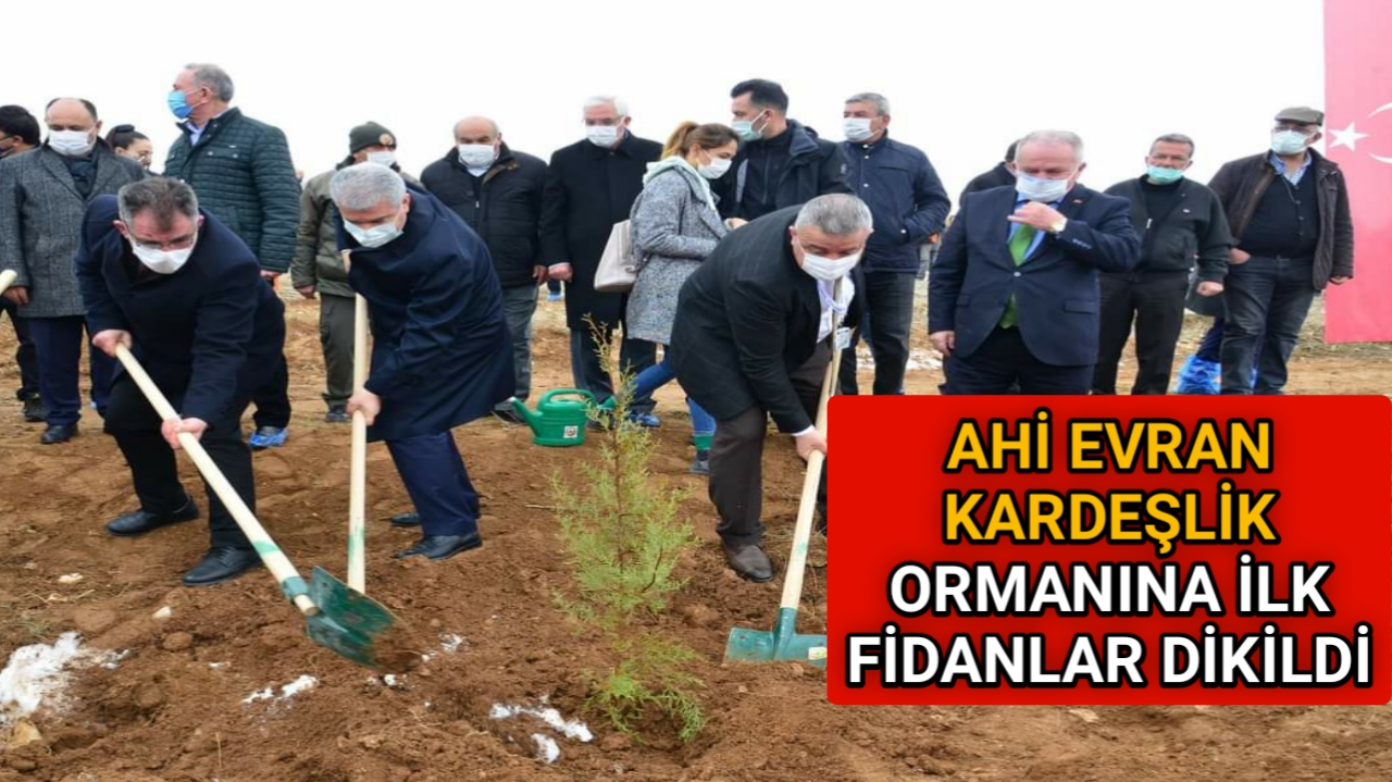 AHİ EVRAN KARDEŞLİK ORMANINA İLK FİDANLAR DİKİLDİ