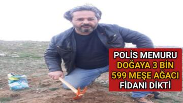 POLİS MEMURU DOĞAYA 3 BİN 599 MEŞE AĞACI FİDANI DİKTİ