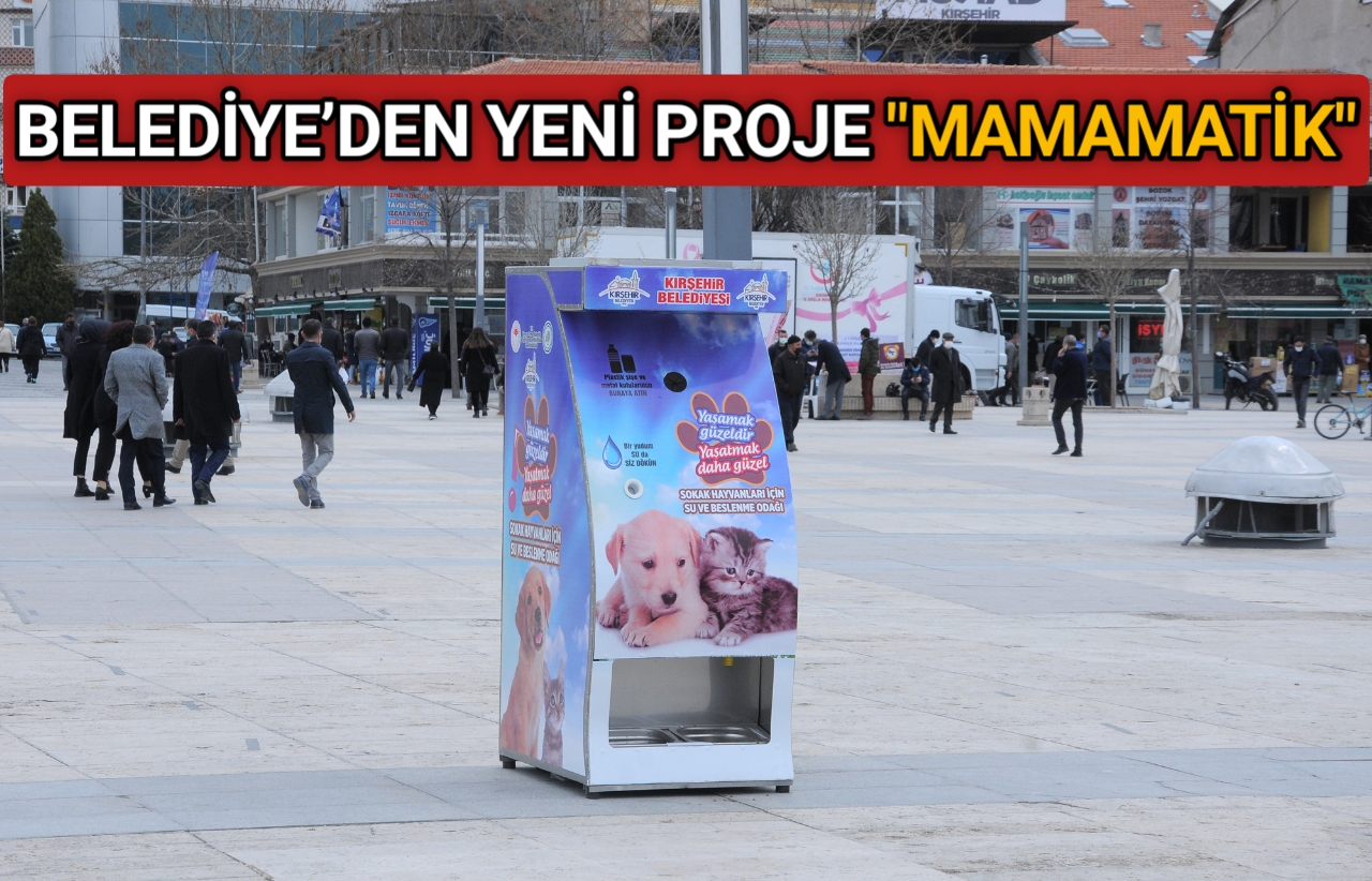Kırşehir Belediyesi tarafından sokak hayvanlarının yem ve su ihtiyaçlarını giderebilmeleri
