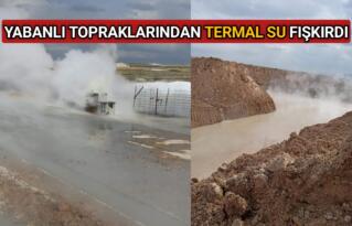 YABANLI KÖYÜNDE PETROLE NİYET TERMAL SUYA KISMET