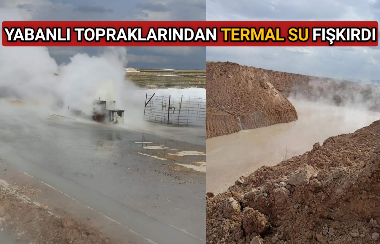 YABANLI KÖYÜNDE PETROLE NİYET TERMAL SUYA KISMET