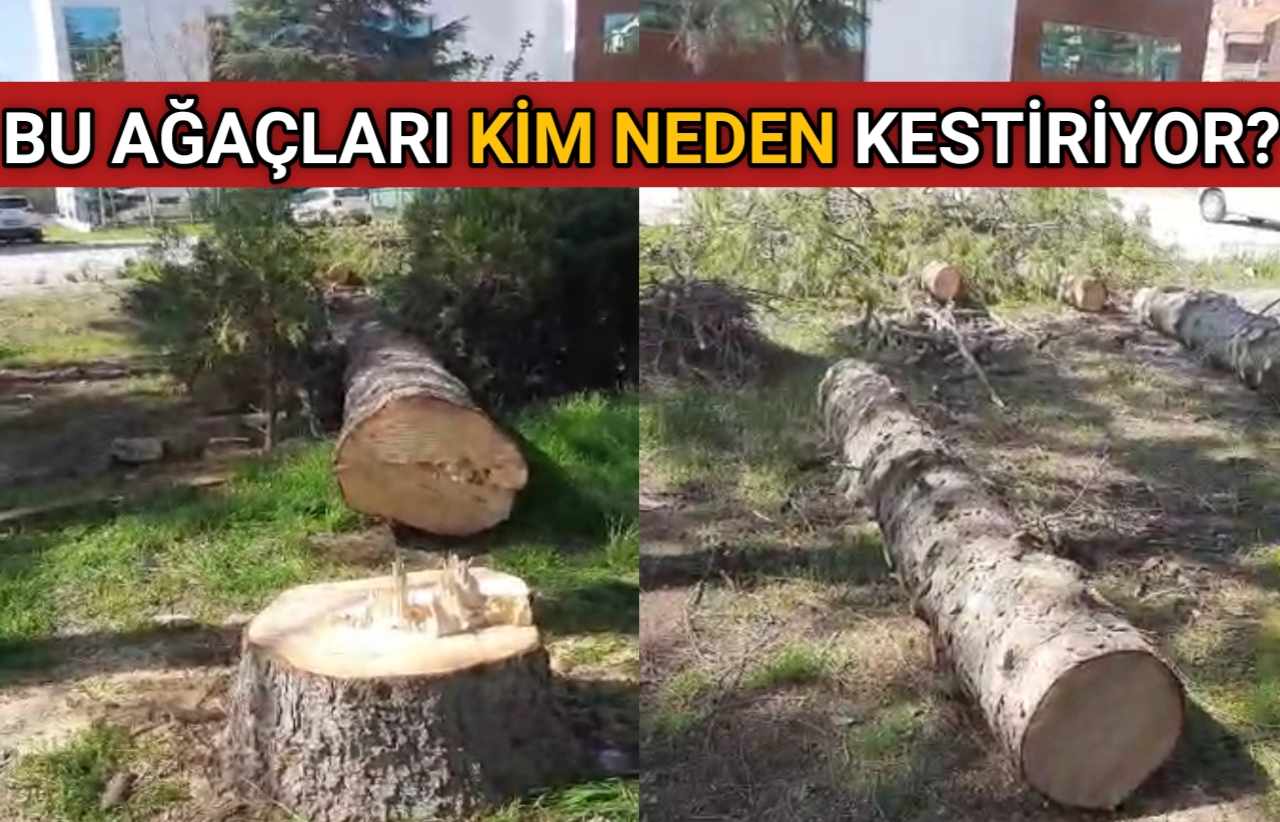 Kırşehir’de hafta sonu ve akşam saatlerinde uygulanan sokağa çıkma yasağında