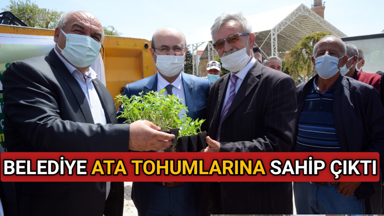 KIRŞEHİR BELEDİYESİ ÜCRETSİZ FİDE DAĞITTI