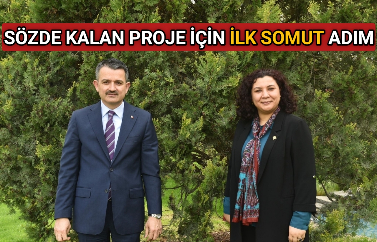 Kırşehir Ak Parti İl Başkanı Seher Ünsal, yıllardır sözde kalan