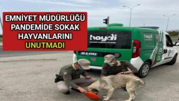 EMNİYET MÜDÜRLÜĞÜ SOKAK HAYVANLARINI UNUTMADI