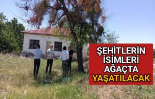 ŞEHİTLERİN İSİMLERİ AĞAÇTA YAŞATILACAK