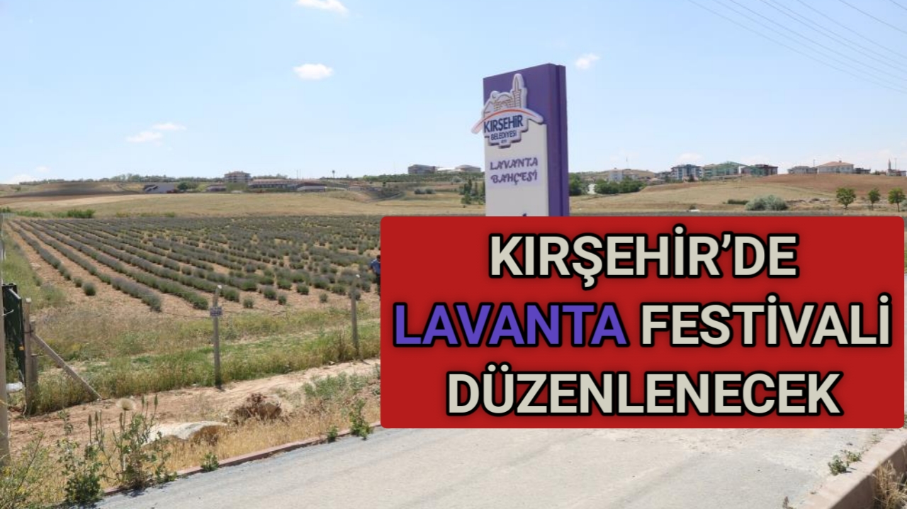 TEMMUZ AYINDA LAVANTA FESTİVALİ DÜZENLENECEK