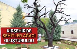 KIRŞEHİR’DE ŞEHİTLER AĞACI OLUŞTURULDU