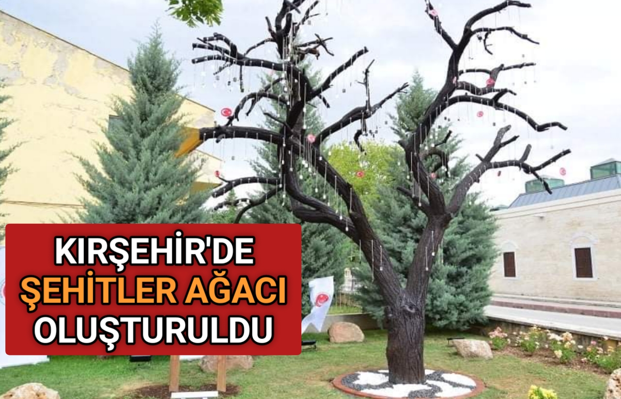 KIRŞEHİR’DE ŞEHİTLER AĞACI OLUŞTURULDU