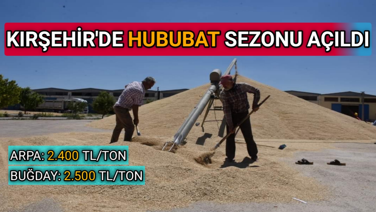 KIRŞEHİR’DE HUBUBAT SEZONU AÇILDI