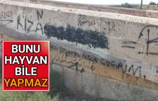 773 YILLIK TARİHİ KÖPRÜYÜ SPREY BOYALARLA TAHRİP ETTİLER