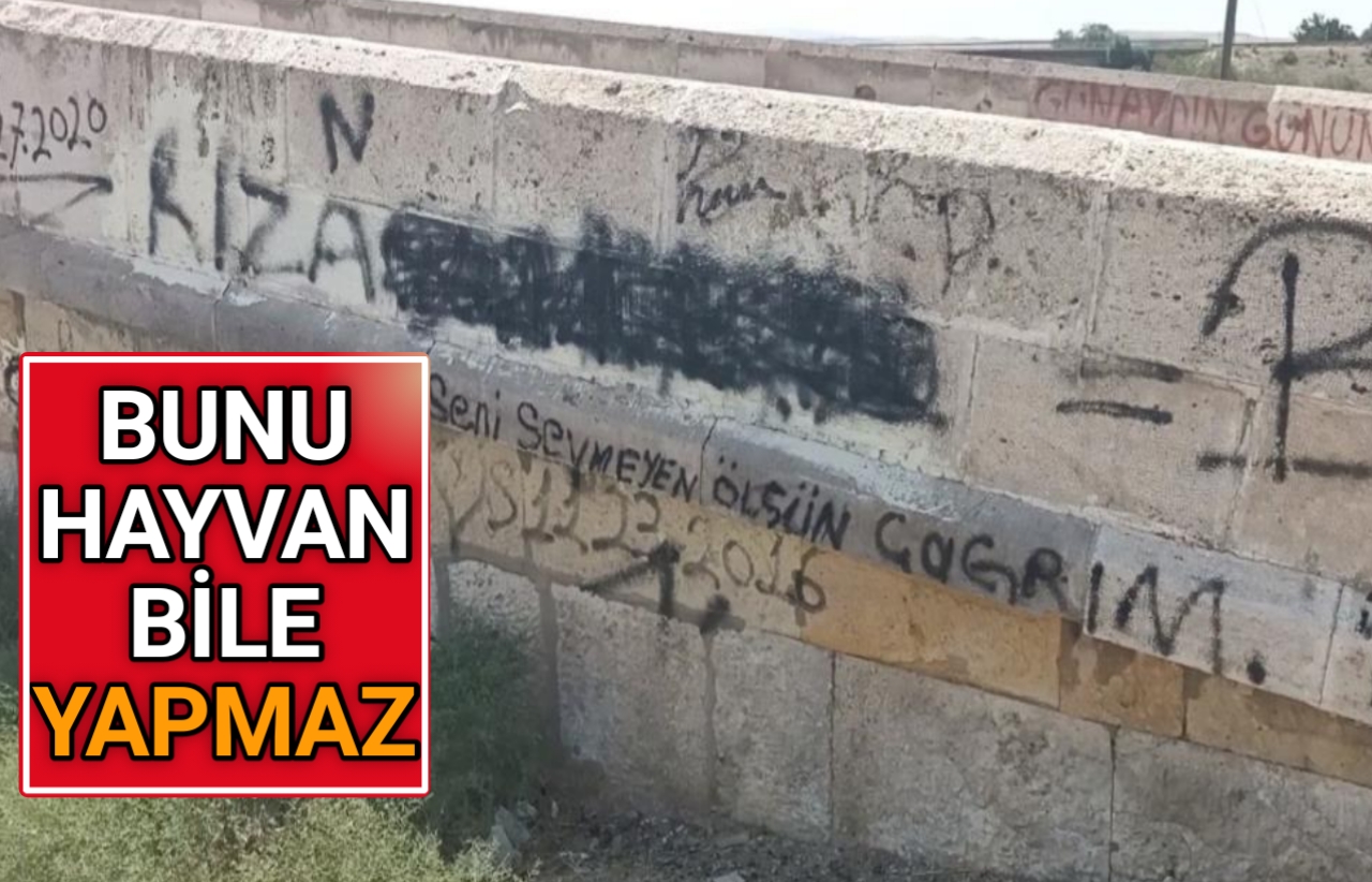 773 YILLIK TARİHİ KÖPRÜYÜ SPREY BOYALARLA TAHRİP ETTİLER