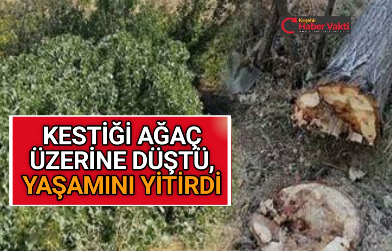 KESTİĞİ AĞAÇ ÜZERİNE DEVRİLEN KİŞİ HAYATINI KAYBETTİ