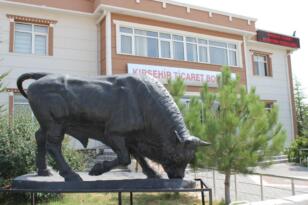 TARIM İL MÜDÜRLÜĞÜ KURBAN’DA KESİLEN HAYVAN SAYISINI AÇIKLADI