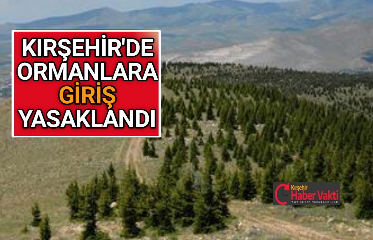 Kırşehir Valiliği tarafından il sınırları içerisinde bulunan ormanlık alanlara giriş