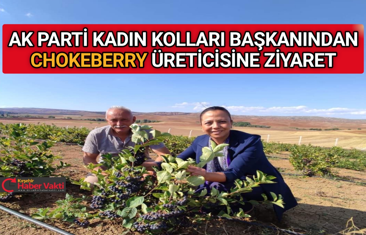 Ak Parti Kırşehir Kadın Kolları Başkanı Meryem Düğer Çiçekdağı ilçesinin