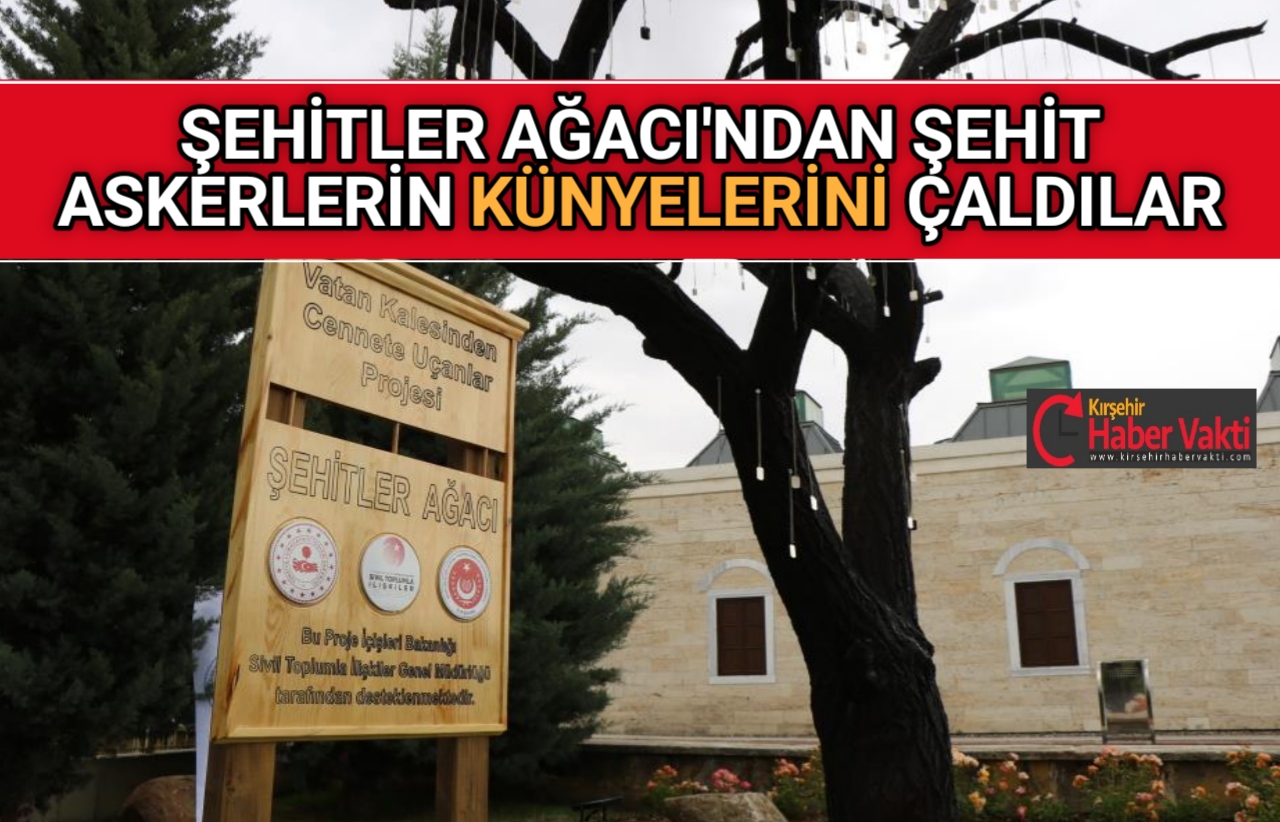 KÜNYELERİ ÇALAN KİŞİ HAKKINDA İDDİANAME HAZIRLANDI