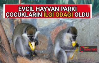 EVCİL HAYVAN PARKI ÇOCUKLARIN İLGİ ODAĞI OLDU