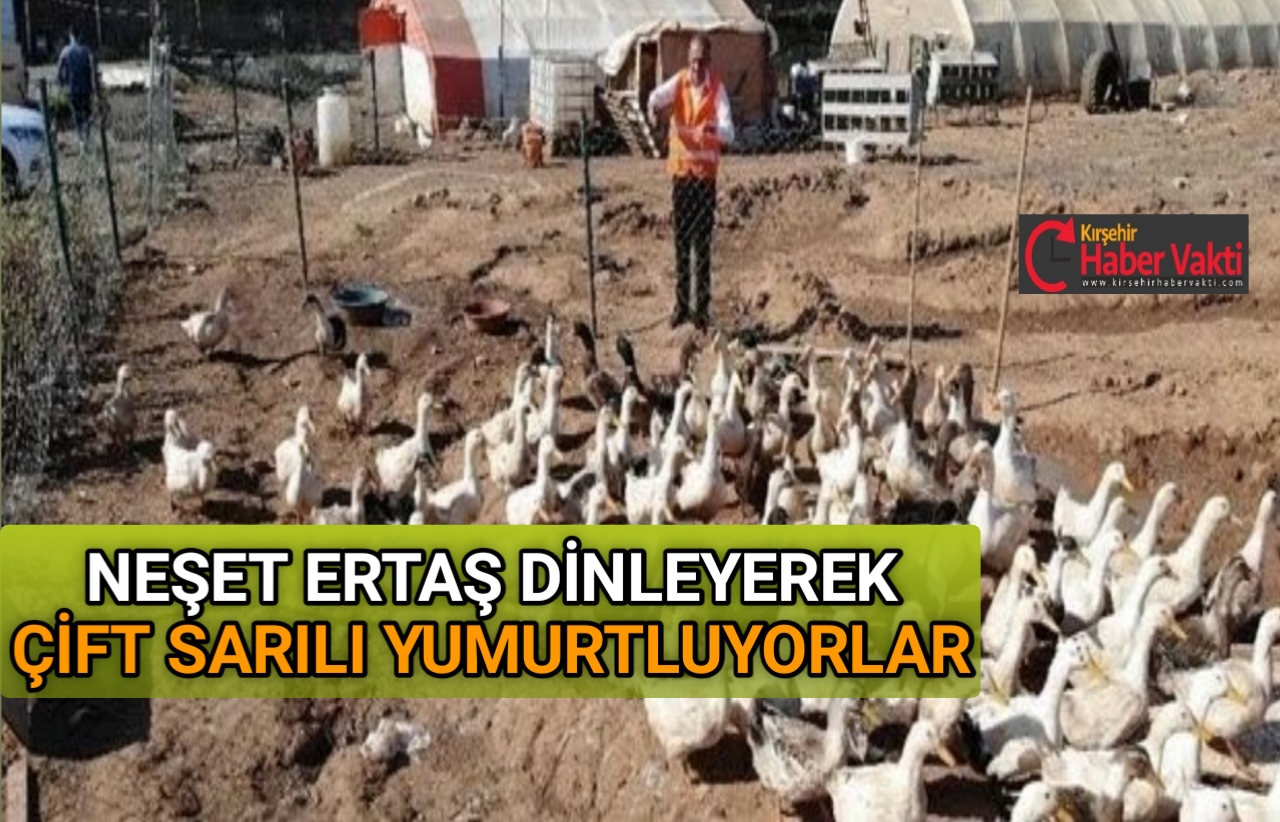 55 seneden beri yumurta üreticiliği işiyle uğraşan Cahit Şahin, tavuklarına