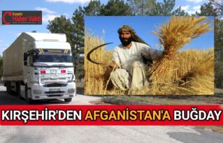 TÜRKİYE’DEN AFGANİSTAN’A 100 TON BUĞDAY