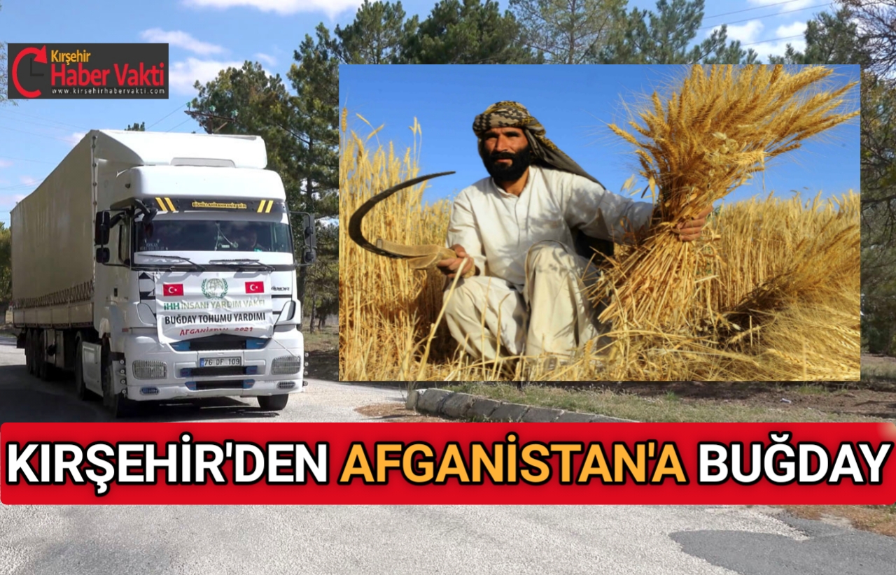 TÜRKİYE’DEN AFGANİSTAN’A 100 TON BUĞDAY