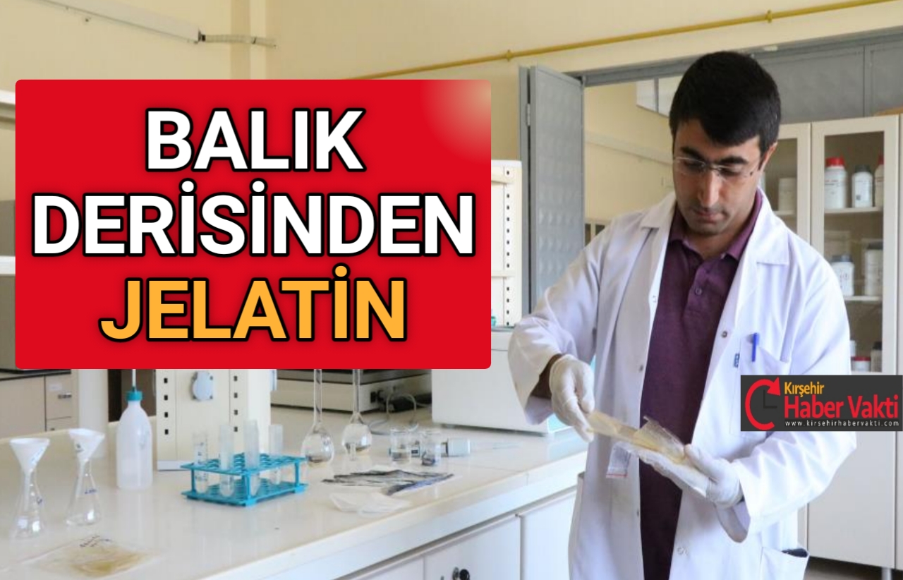 ATIK BALIK DERİSİNDEN JELATİN