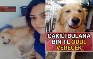 MUCUR EPİLEPSİ HASTASI KAYIP KÖPEK İÇİN SEFERBER OLDU