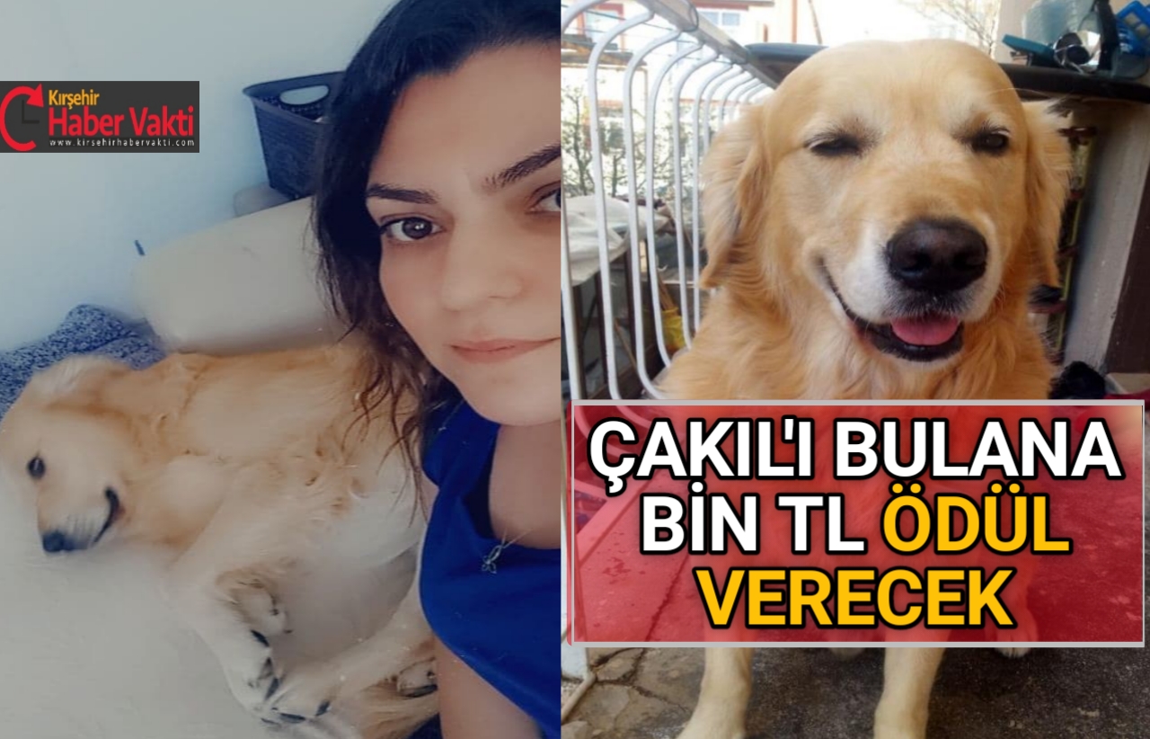 MUCUR EPİLEPSİ HASTASI KAYIP KÖPEK İÇİN SEFERBER OLDU