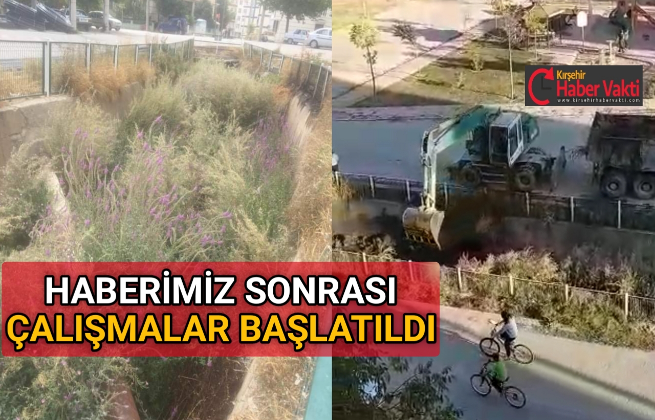 HABERİMİZ SONRASI O DERE TEMİZLENİYOR