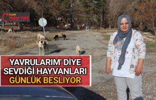 BAĞIŞ DİYEREK PARA TOPLAYANLARA ALDANMAYIN