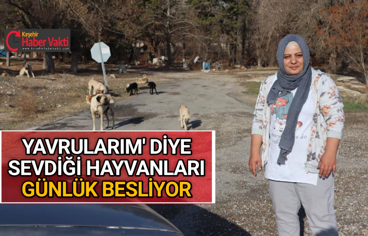 BAĞIŞ DİYEREK PARA TOPLAYANLARA ALDANMAYIN