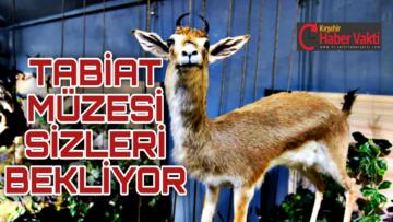 KIRŞEHİR’DE BU GÜZELLİKLERİ KAÇIRMAYIN