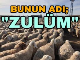 BURASI FİLİSTİN DEĞİL KIRŞEHİR