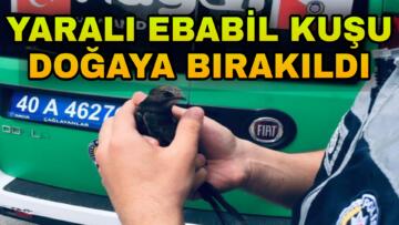 YARALI EBABİL KUŞUNA POLİS ŞEFKATİ