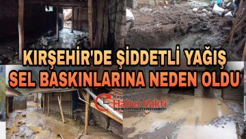 YAĞIŞ NEDENİYLE MANDIRALAR ÇÖKTÜ, HAYVANLAR TELEF OLDU