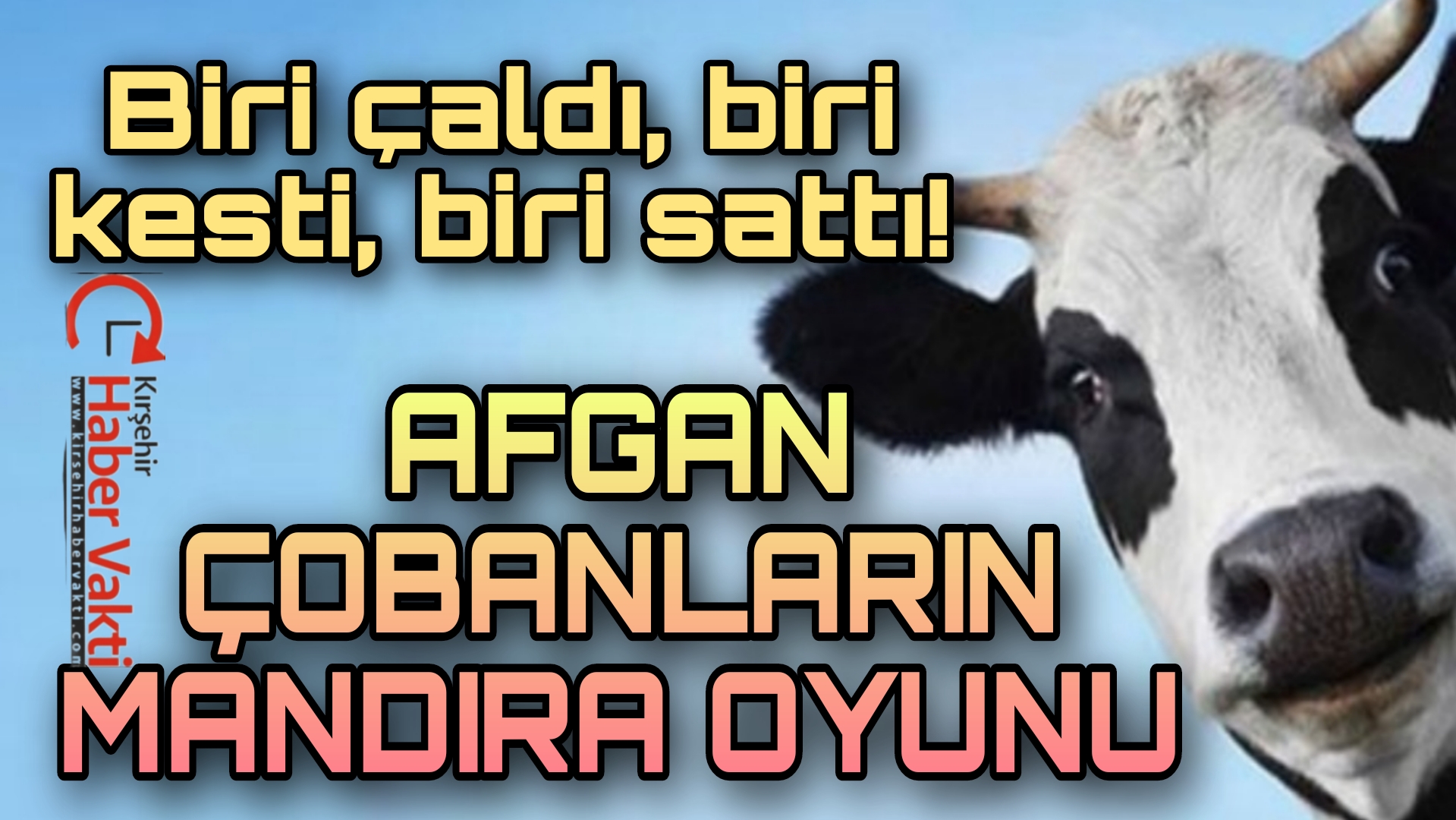 KIRŞEHİR’DE AFGAN ÇOBANLARDAN 2 MİLYONLUK VURGUN