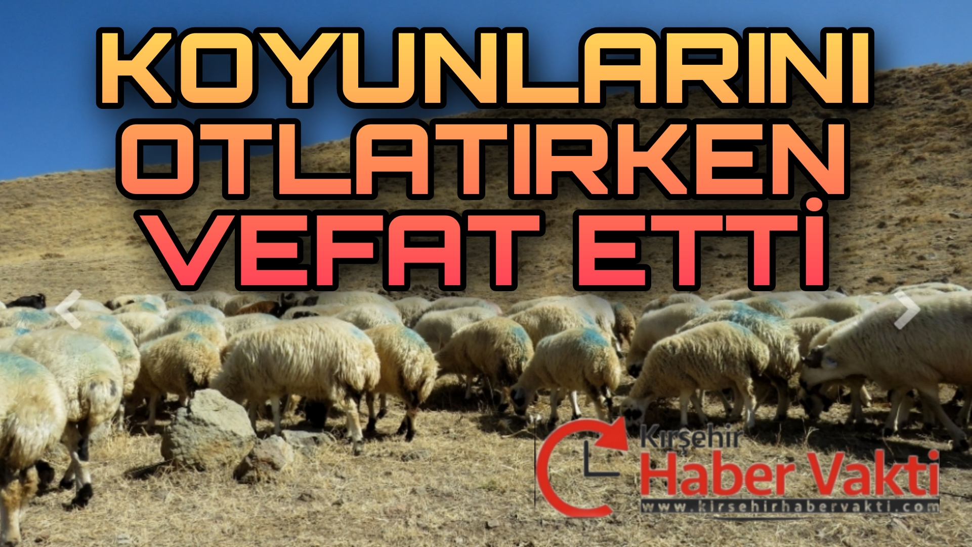 KOYUNLARINI OTLATIRKEN HAYATINI KAYBETTİ