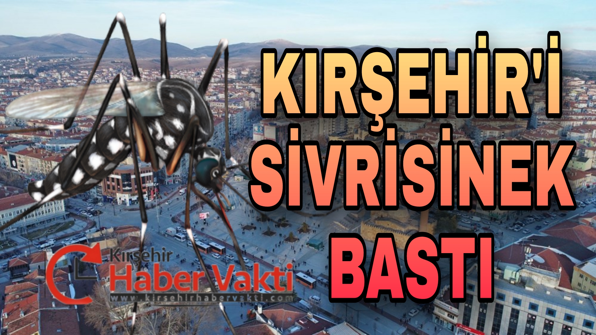 KIRŞEHİR’İN SİVRİSİNEK’ LE İMTİHANI