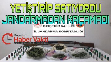 KIRŞEHİR’DE UYUSTURUCU YETİŞTİRİP SATAN KİŞİ YAKALANDI