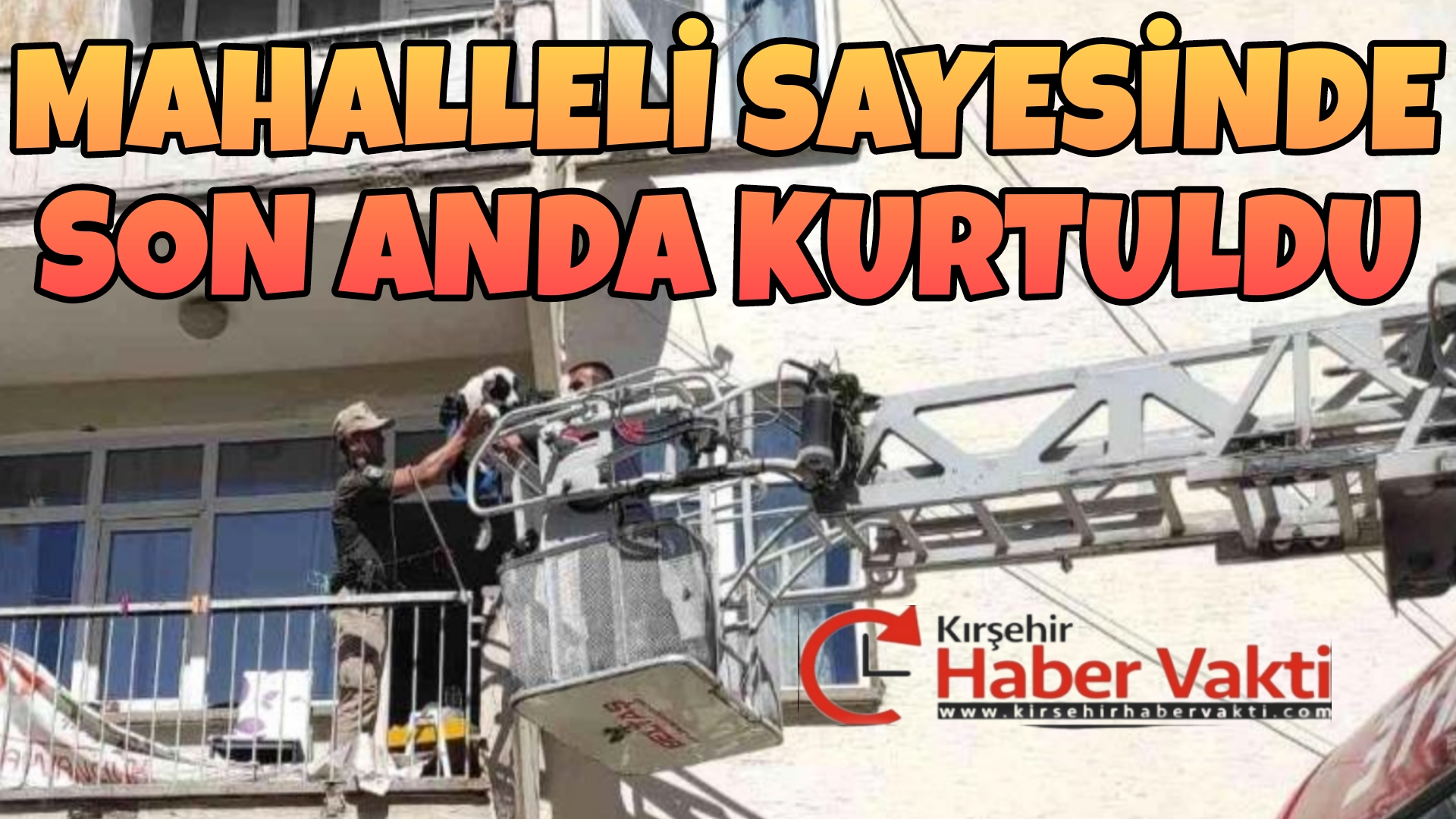 Kırşehir’de 10 gündür bir evde aç ve susuz olarak bırakılan