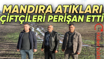 MANDIRA ATIKLARINDAN RAHATSIZ OLAN ÇİFTÇİ İSYAN ETTİ