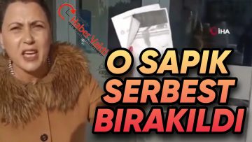 ERKEK ÇOCUĞUNU TACİZ EDEN ŞAHIS SERBEST BIRAKILDI
